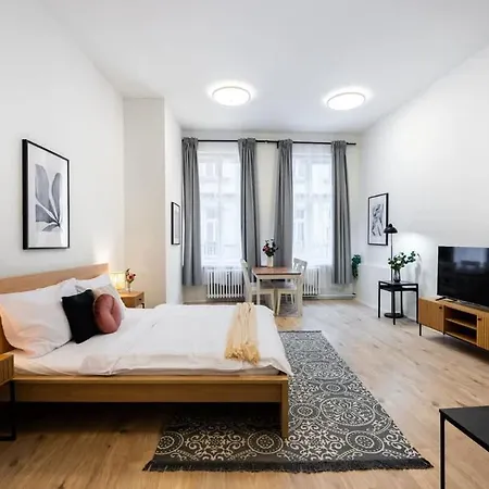 Elegant Spacious Old Town * Praha
