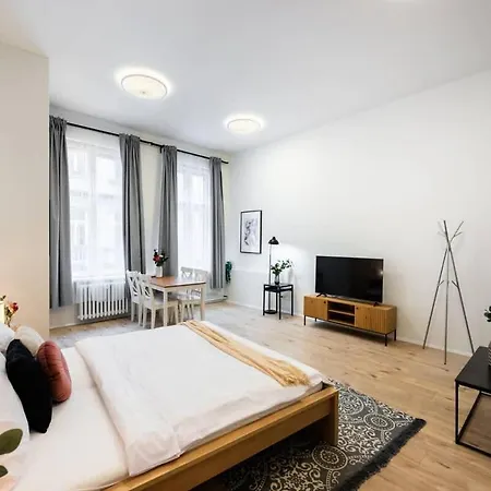 Elegant Spacious Old Town פראג